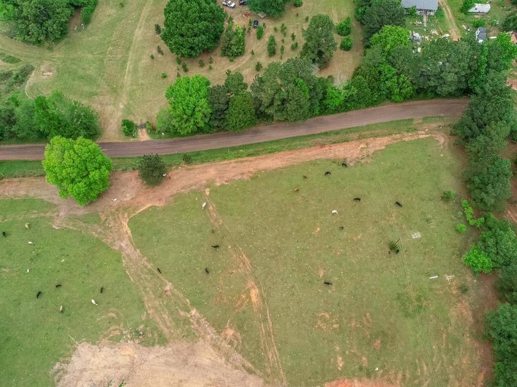 2885 Firetower Road Hallsville TX 75650