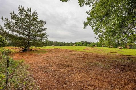 2885 Firetower Road Hallsville TX 75650