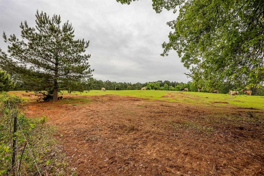 2885 Firetower Road Hallsville TX 75650