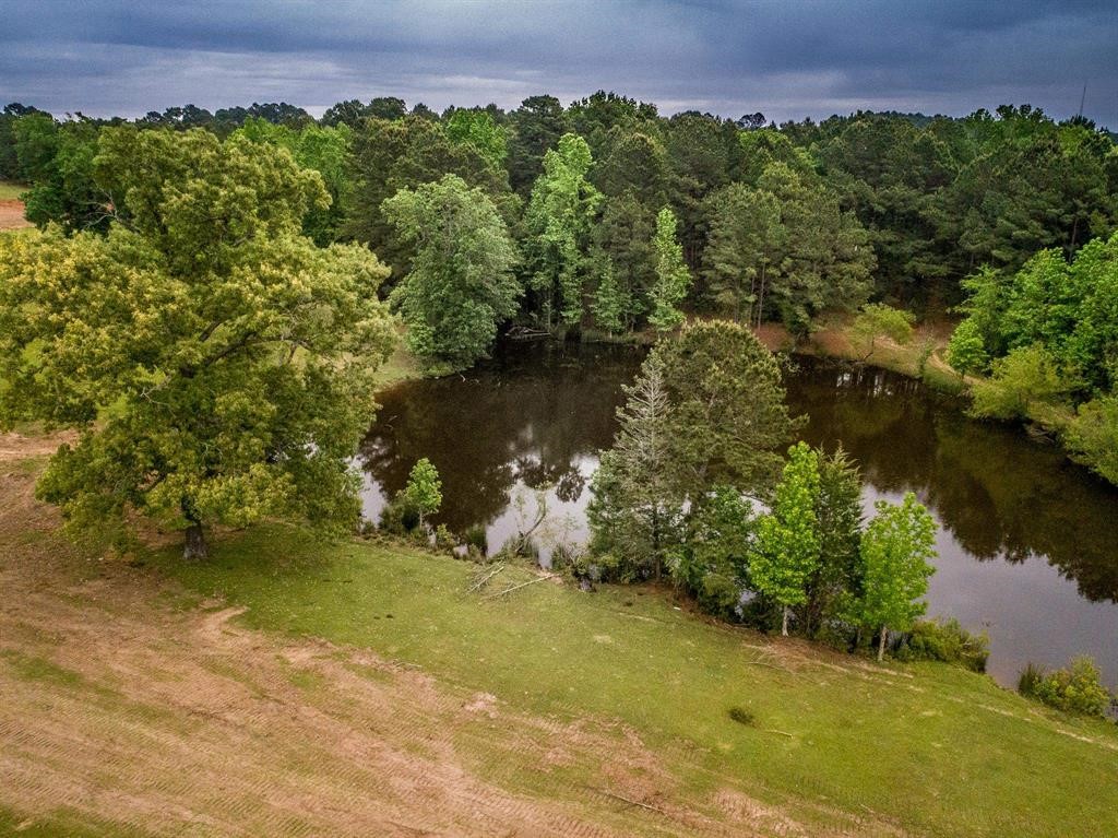 2885 Firetower Road Hallsville TX 75650