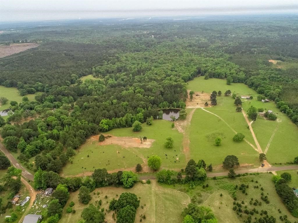 2885 Firetower Road Hallsville TX 75650