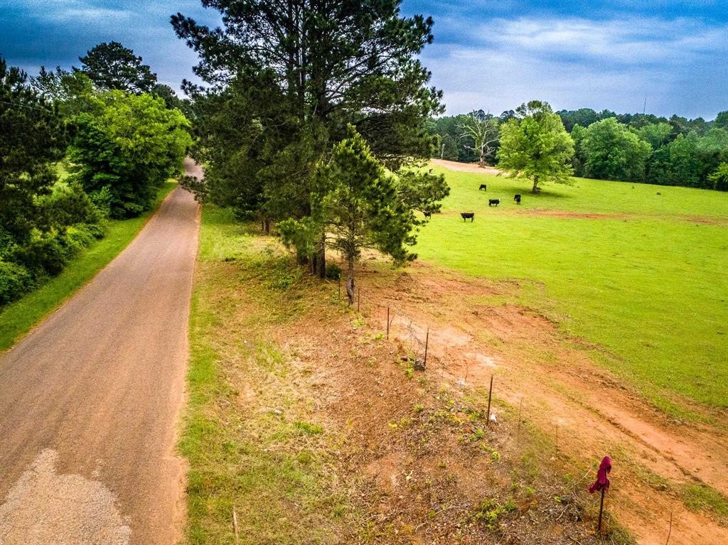 2885 Firetower Road Hallsville TX 75650
