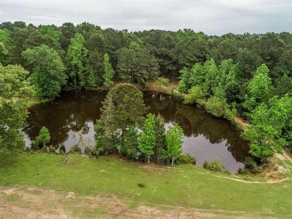 2885 Firetower Road Hallsville TX 75650