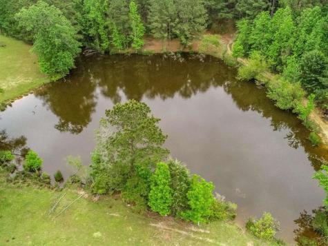 2885 Firetower Road Hallsville TX 75650