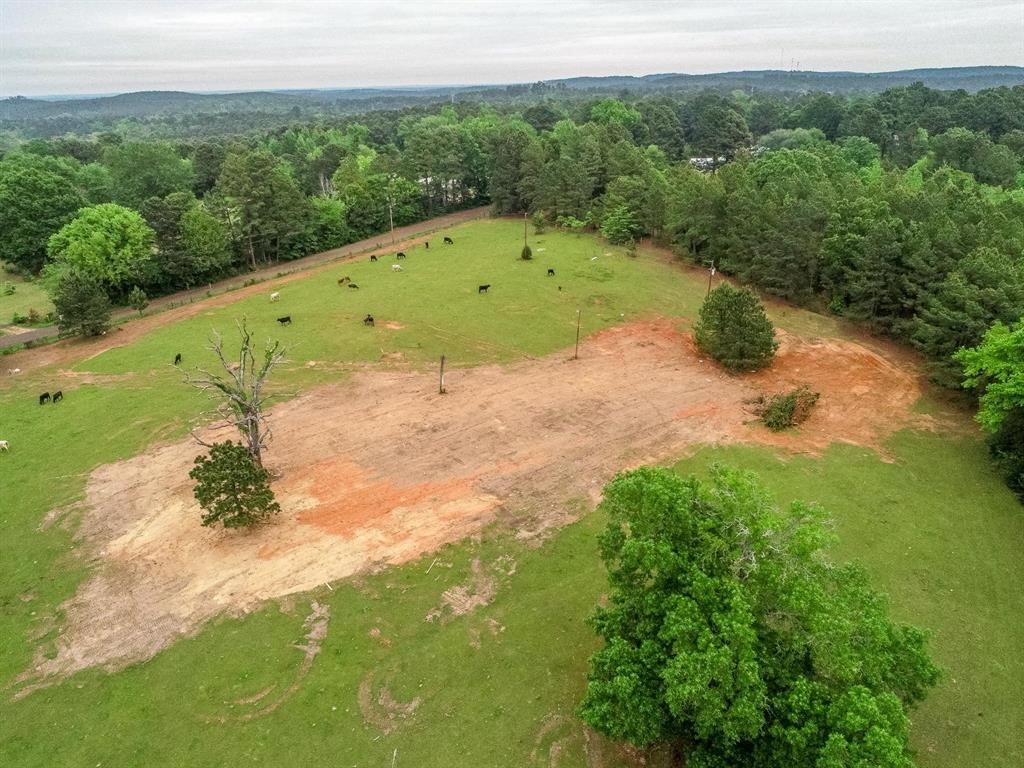 2885 Firetower Road Hallsville TX 75650