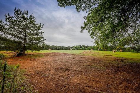 2885 Firetower Road Hallsville TX 75650