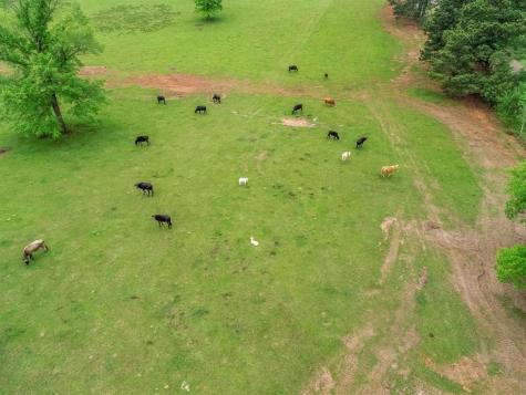 2885 Firetower Road Hallsville TX 75650