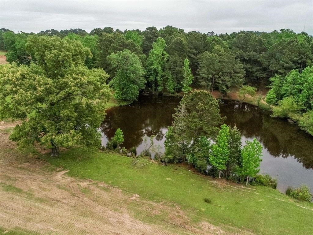 2885 Firetower Road Hallsville TX 75650