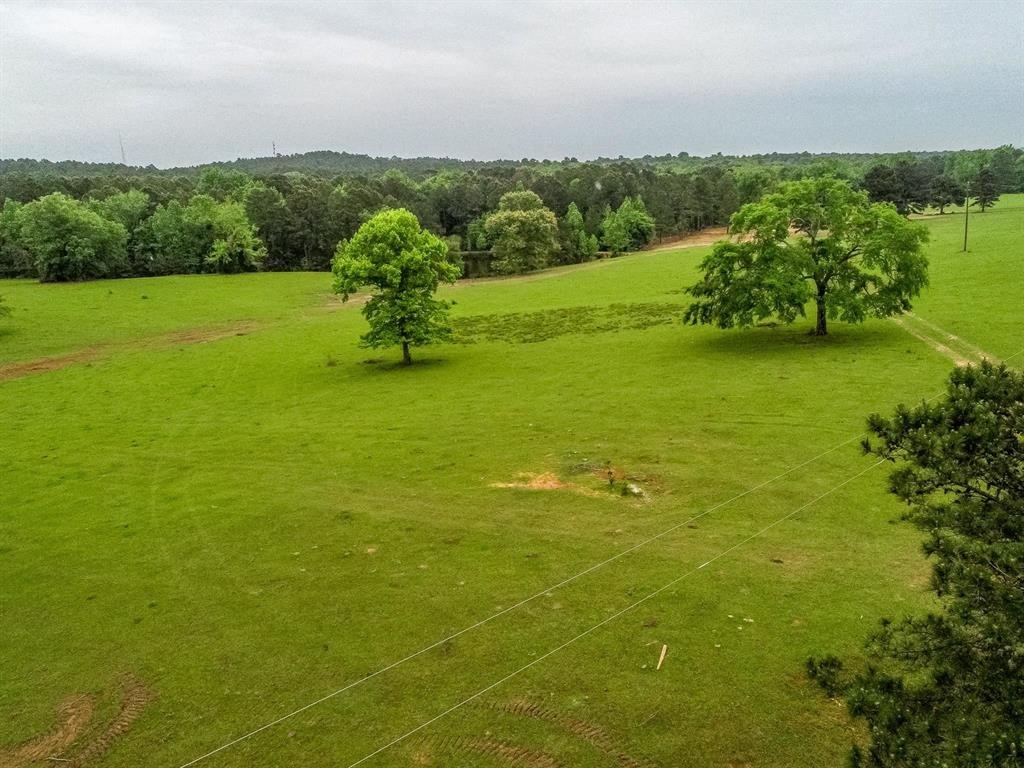 2885 Firetower Road Hallsville TX 75650