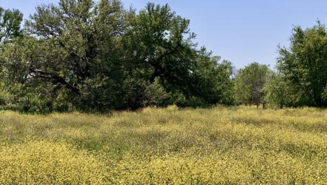 2031-B County Road 3310 Valley Mills TX 76689