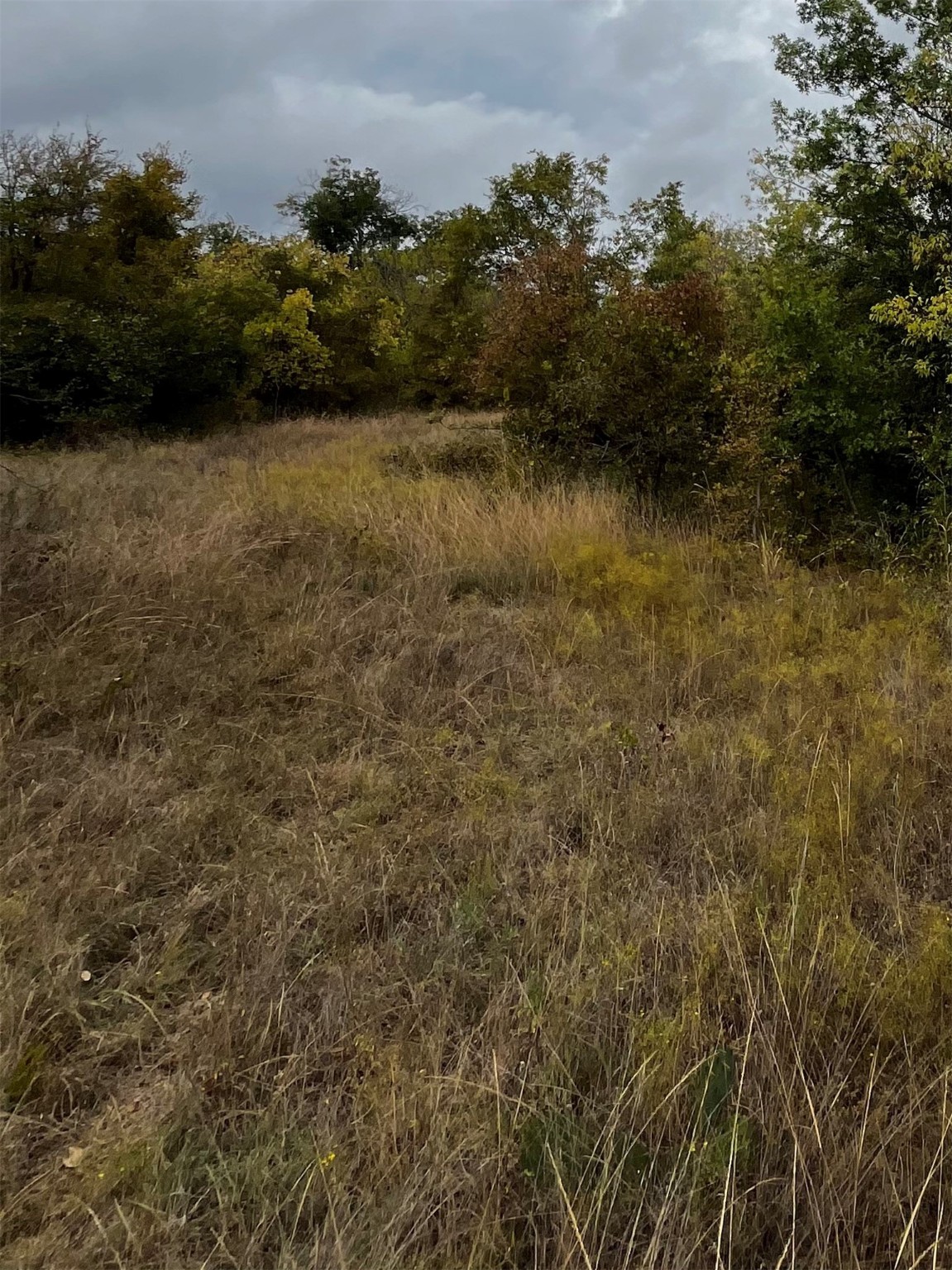 Tbd Flat Rock Road Azle TX 76020