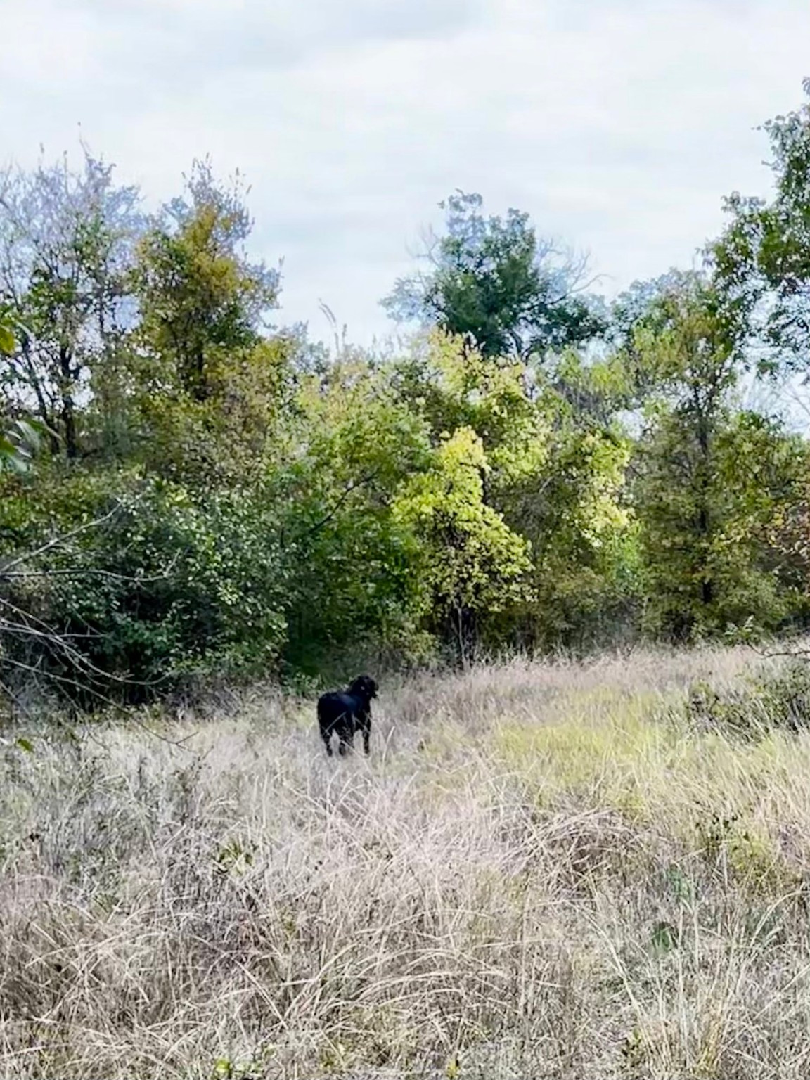 Tbd Flat Rock Road Azle TX 76020