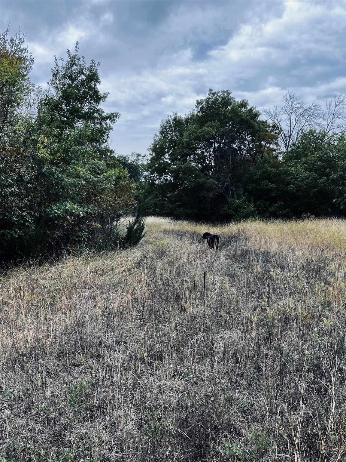 Tbd Flat Rock Road Azle TX 76020
