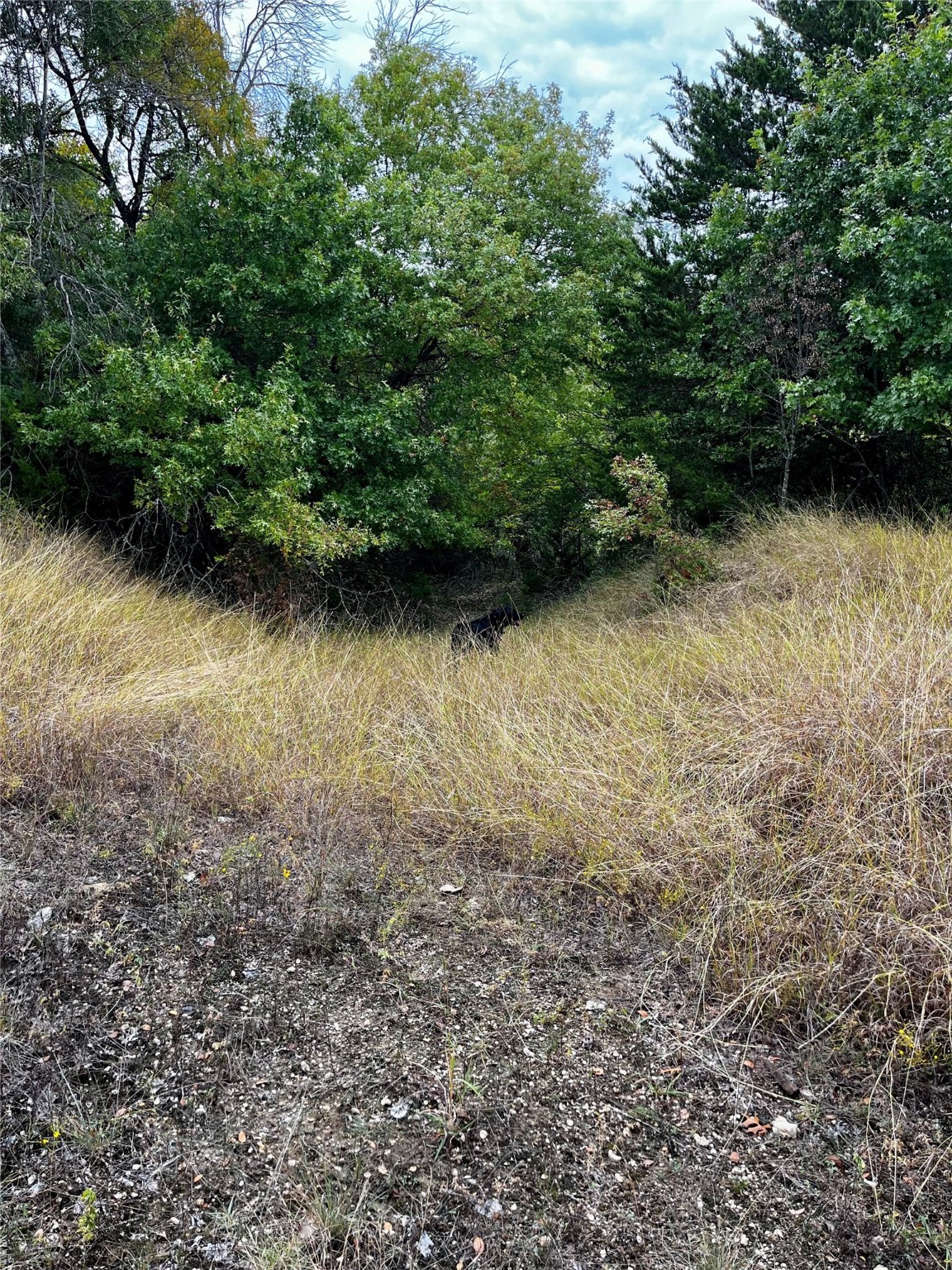 Tbd Flat Rock Road Azle TX 76020