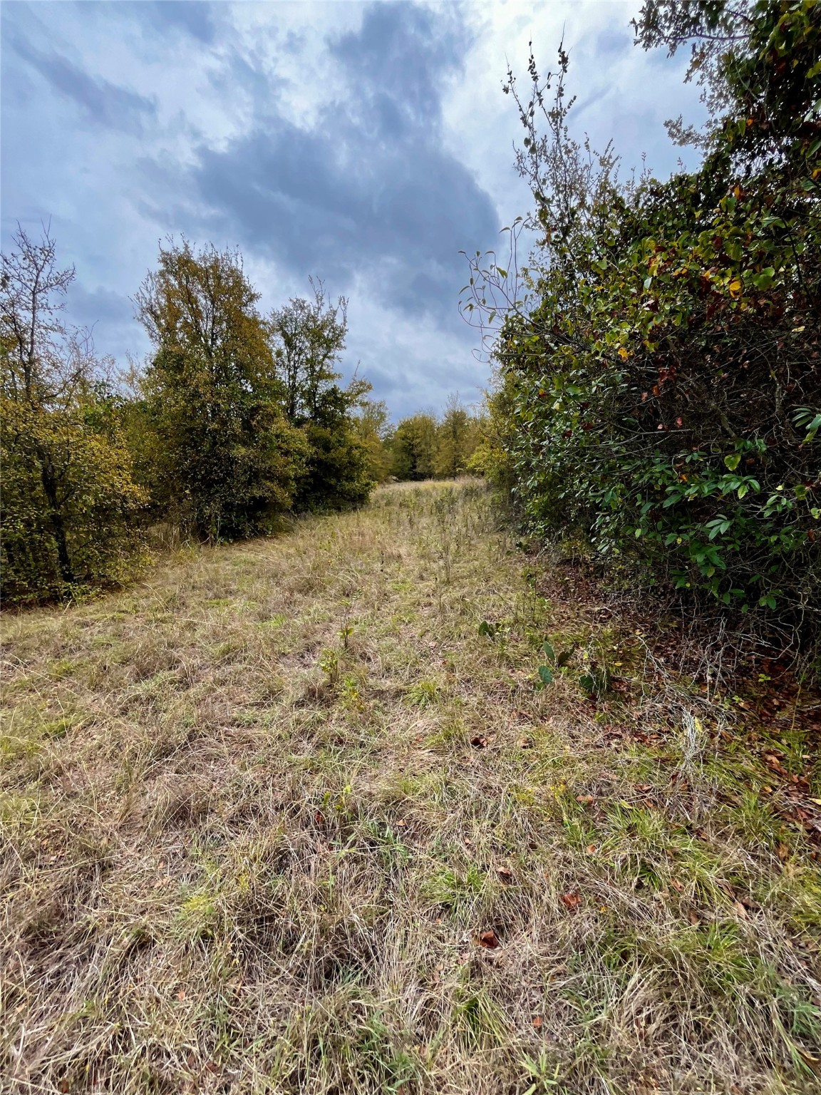 Tbd Flat Rock Road Azle TX 76020