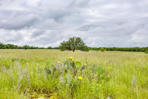 400 S 10th Avenue Palo Pinto TX 76472