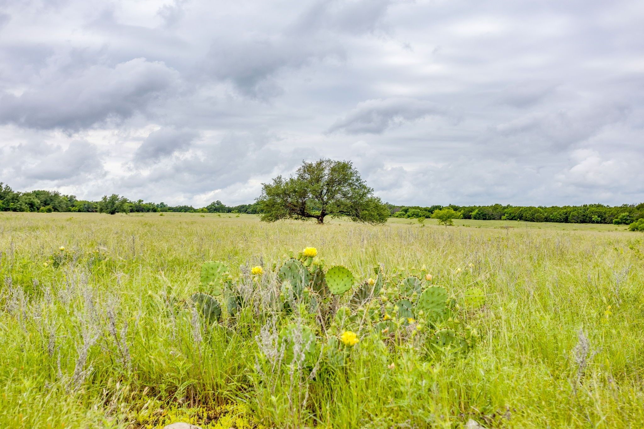 400 S 10th Avenue Santo TX 76472