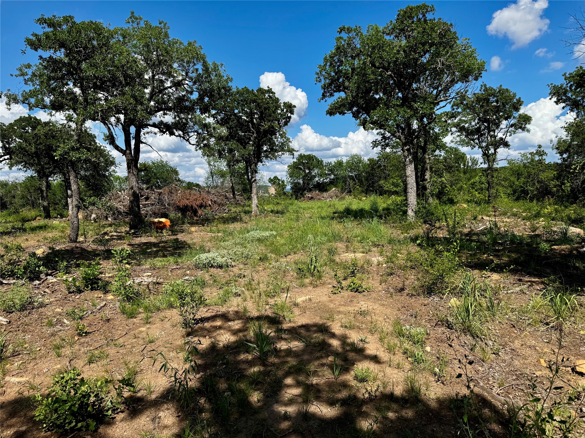 0 W Hwy 180 Highway Mineral Wells TX 76067