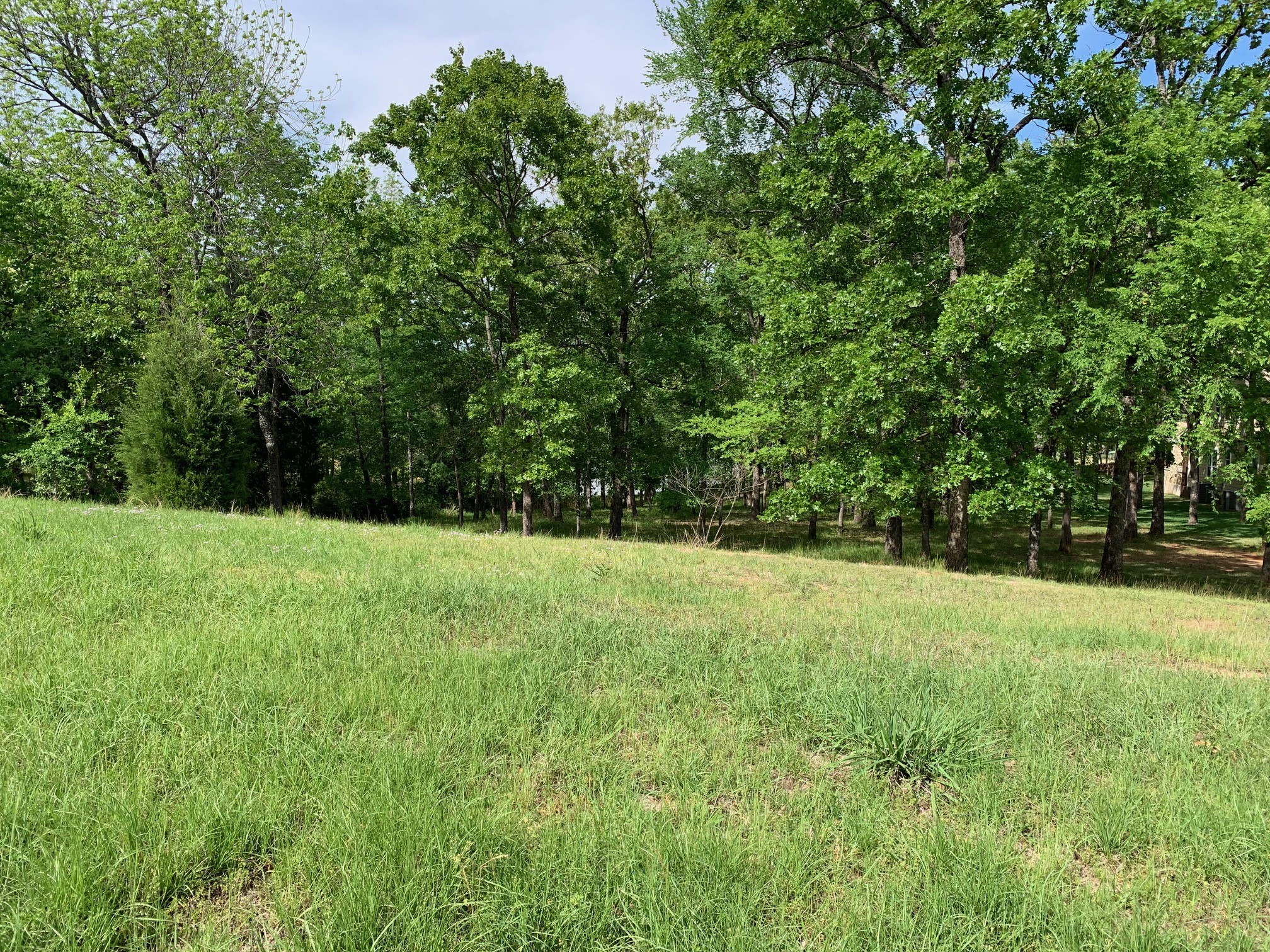 Tbd Esquire Estates Road Mabank TX 75156