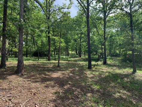 Tbd Esquire Estates Road Mabank TX 75156