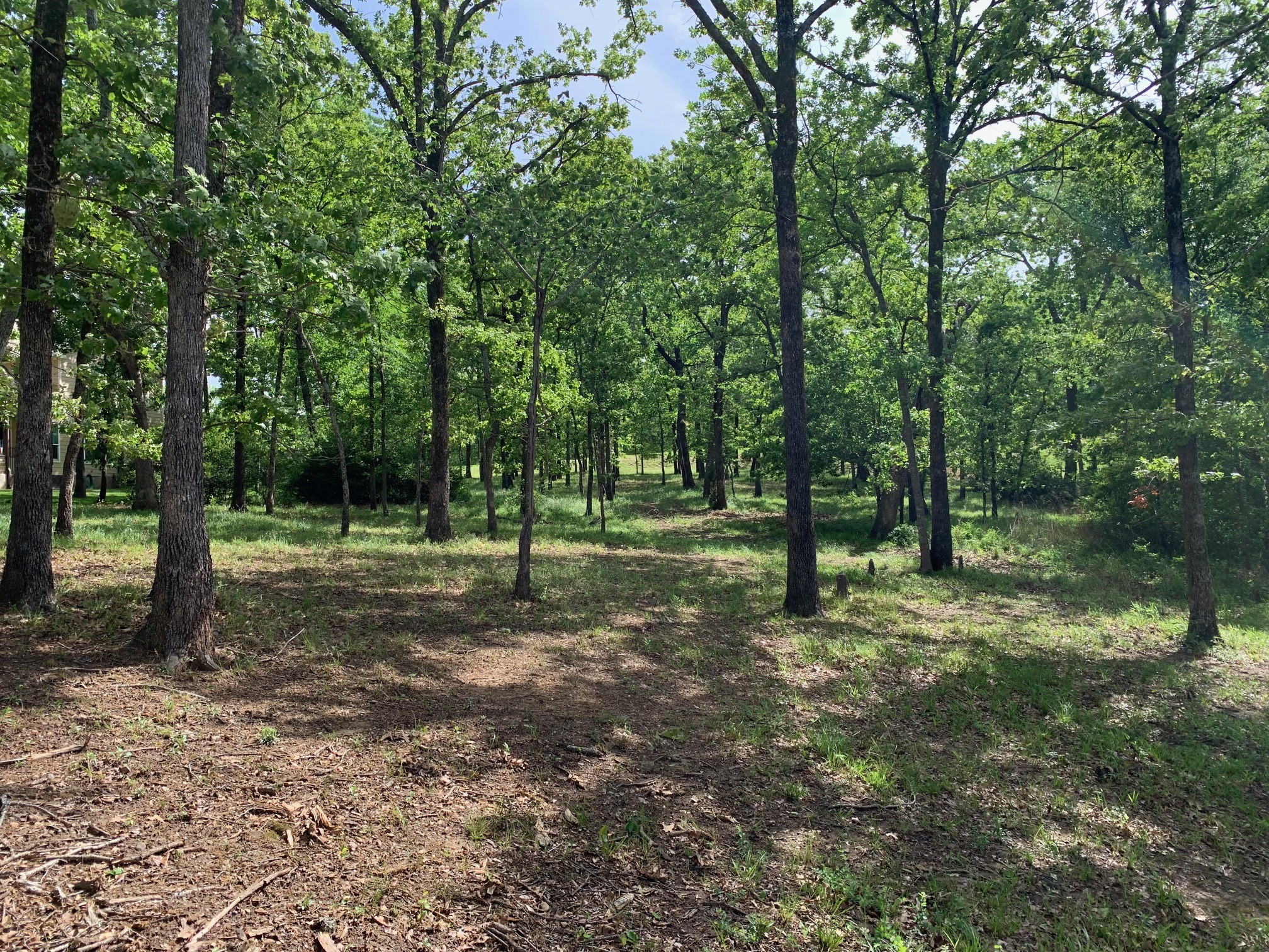Tbd Esquire Estates Road Mabank TX 75156