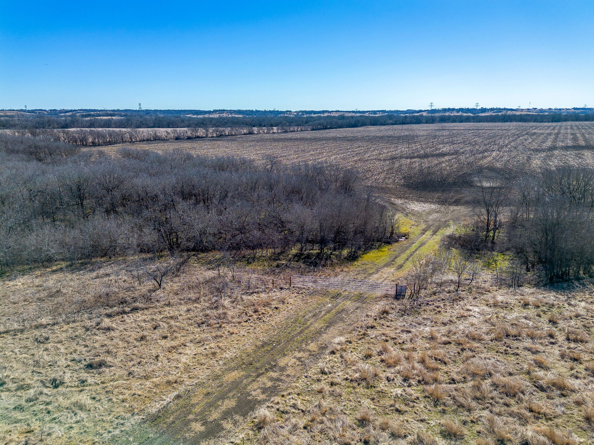 Tbd Ivy Lane Elm Mott TX 76640
