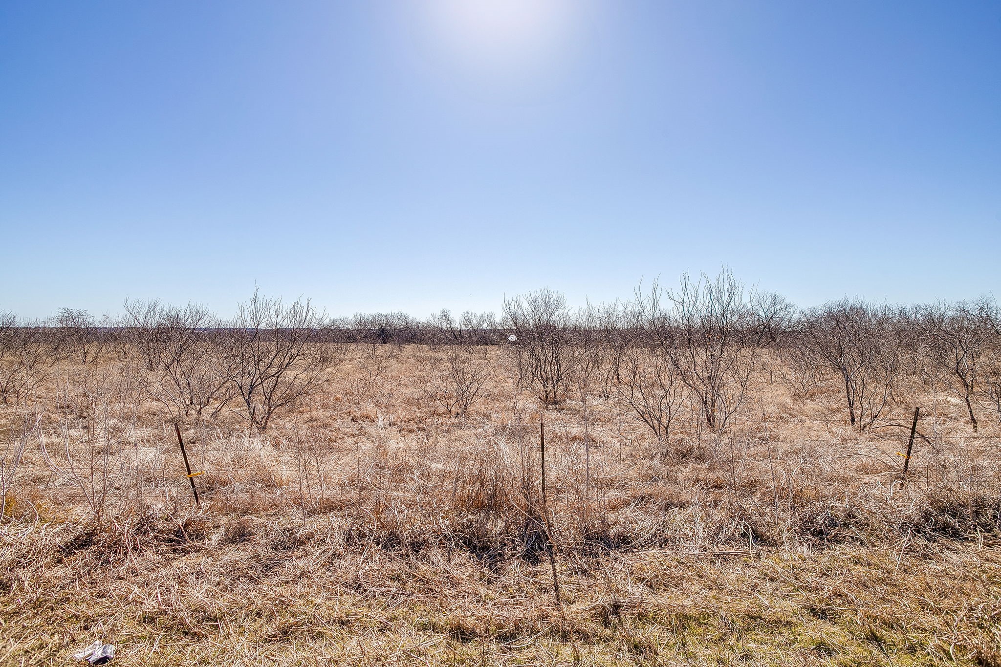 Tbd Ivy Lane Elm Mott TX 76640