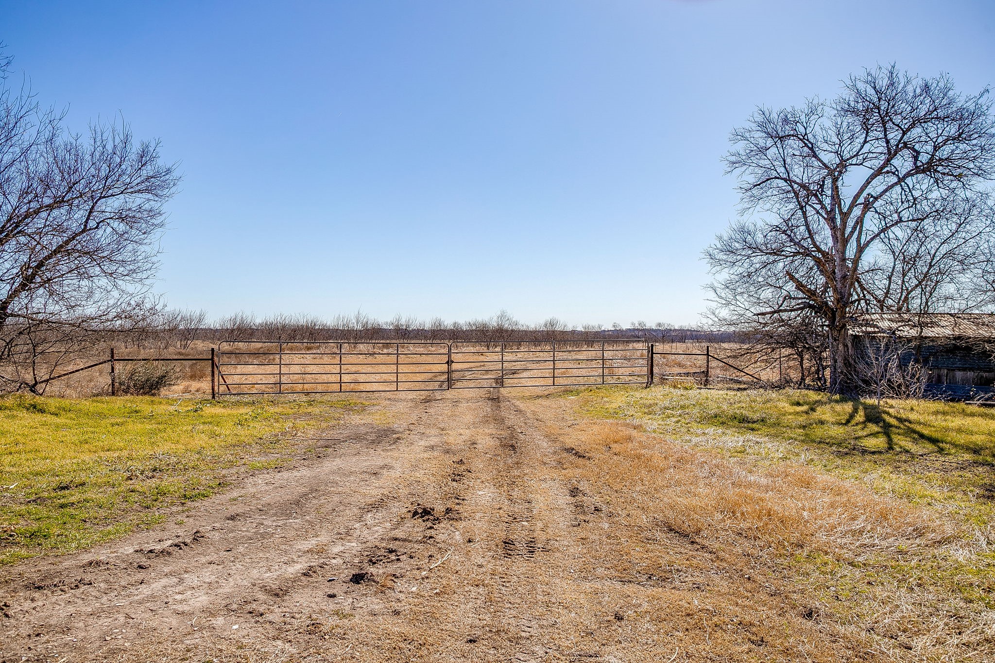 Tbd Ivy Lane Elm Mott TX 76640