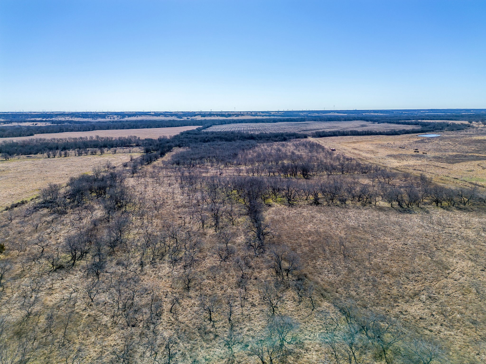 Tbd Ivy Lane Elm Mott TX 76640