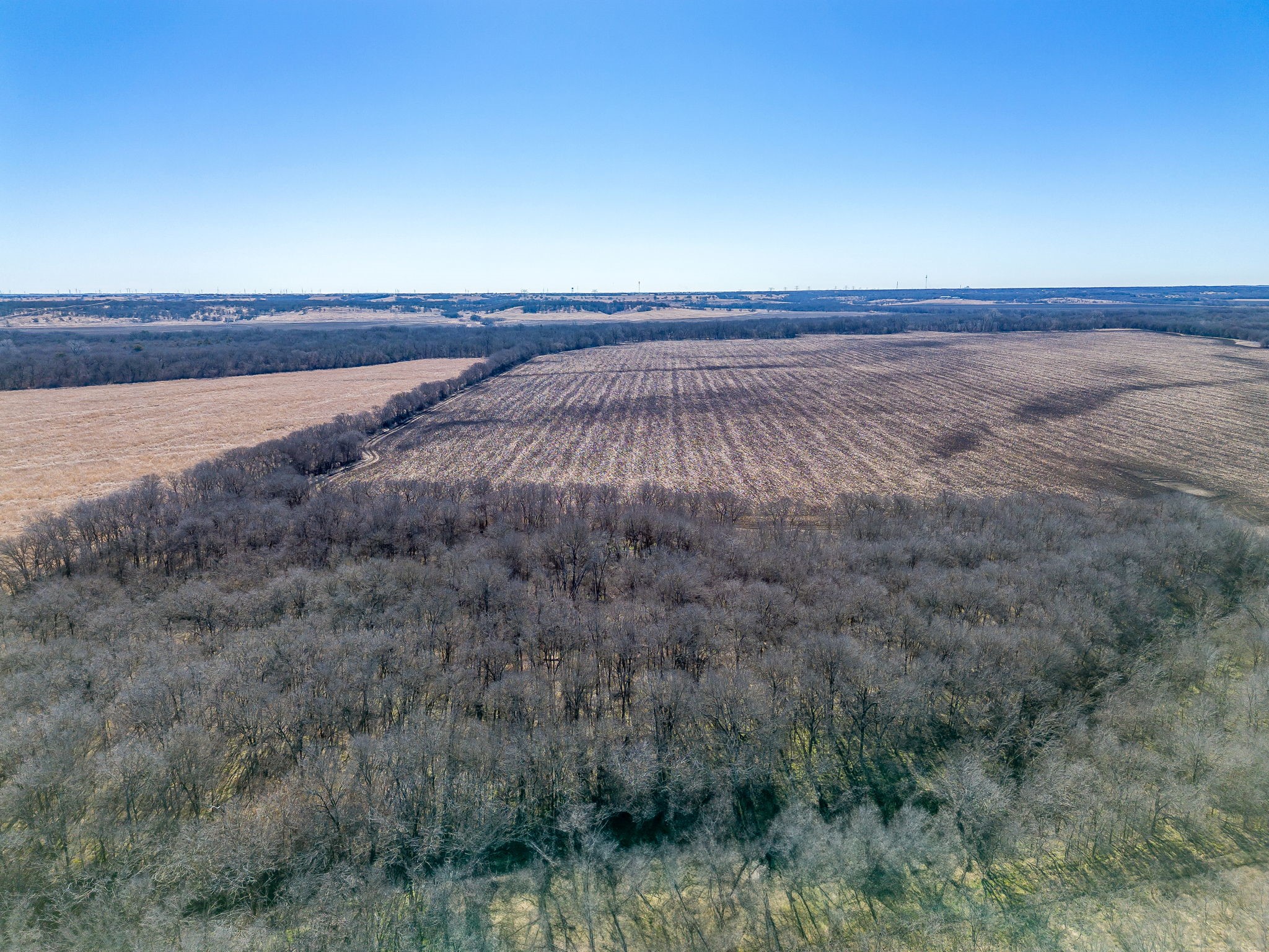 Tbd Ivy Lane Elm Mott TX 76640