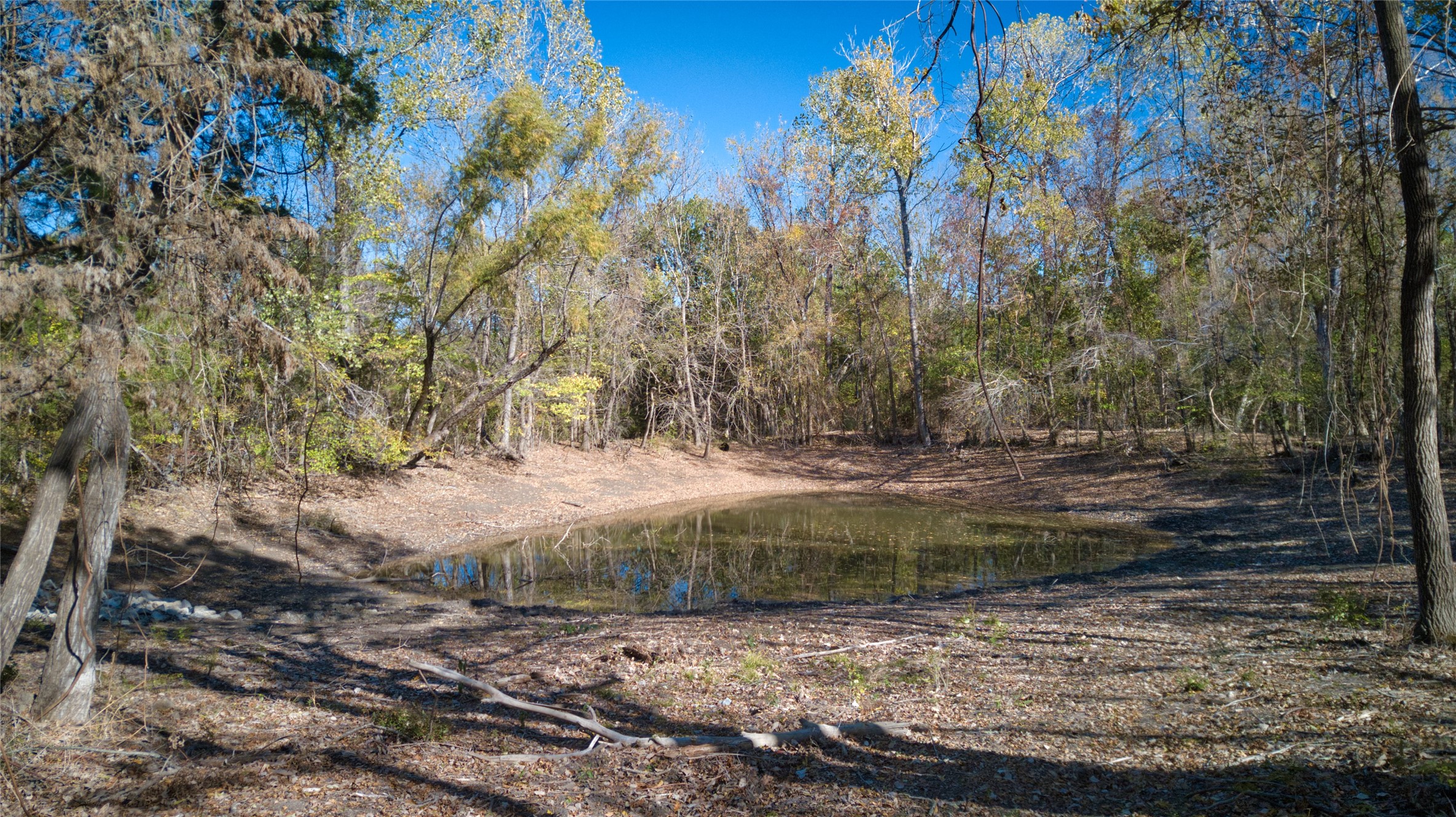 2624 County Road 2975 Windom TX 75492