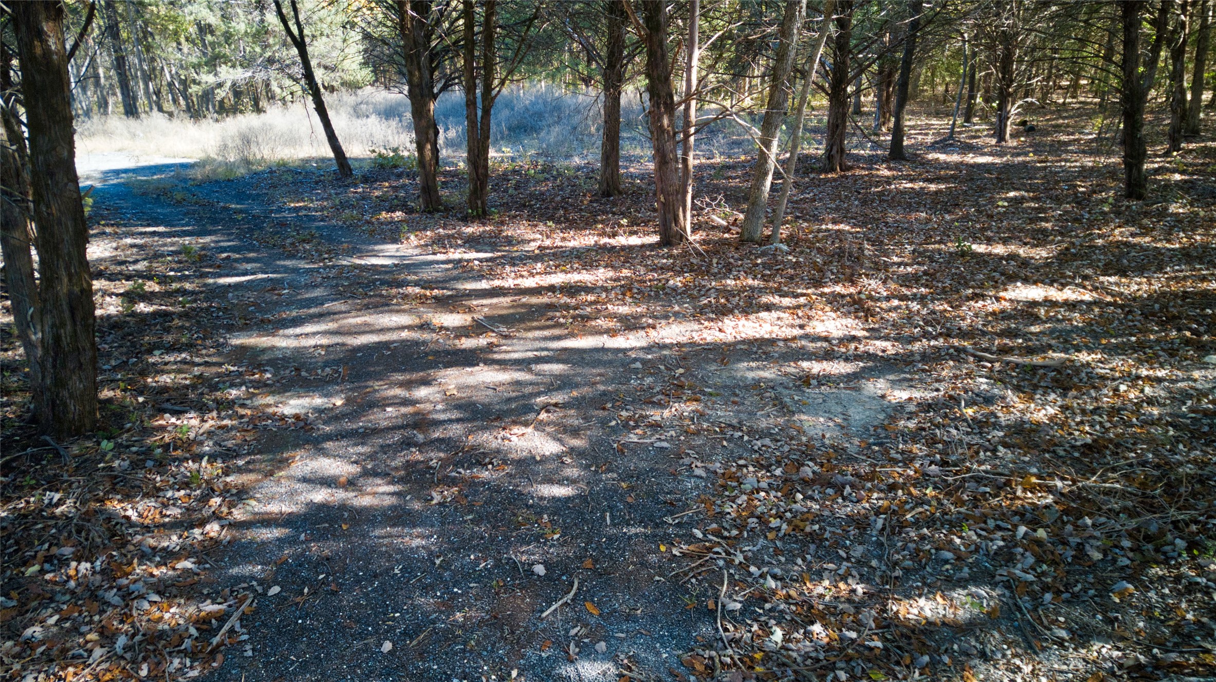 2624 County Road 2975 Windom TX 75492