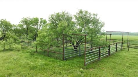 Tbd County Road 389 Gorman TX 76444
