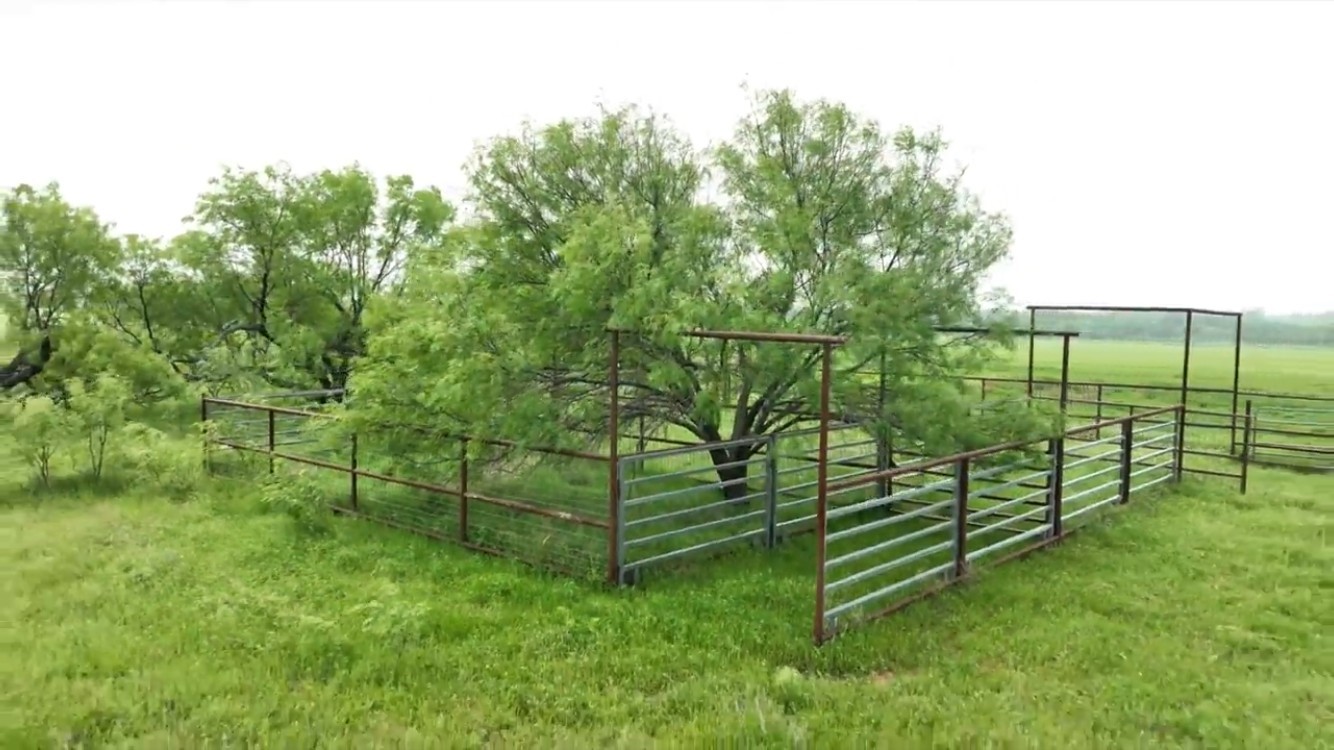 Tbd County Road 389 Gorman TX 76444
