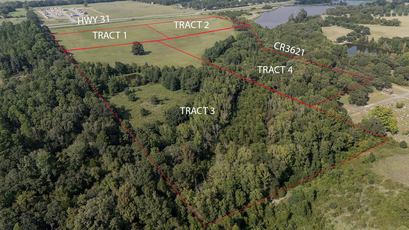 Lot 3 Tx-31 Brownsboro TX 75756