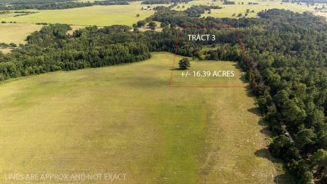 Lot 3 TX-31 Brownsboro TX 75756