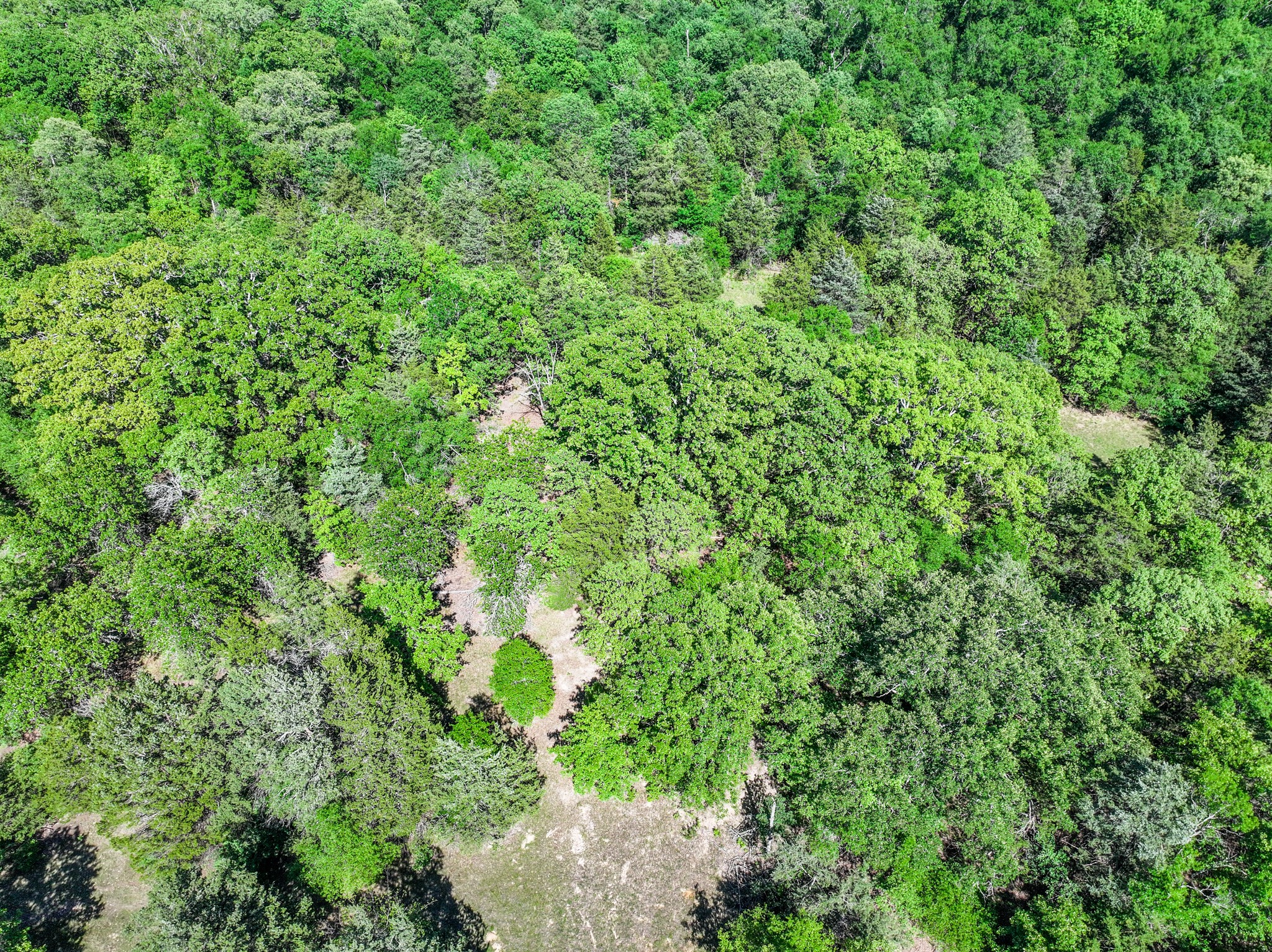 Tbd County Road 4700 Sulphur Springs TX 75482