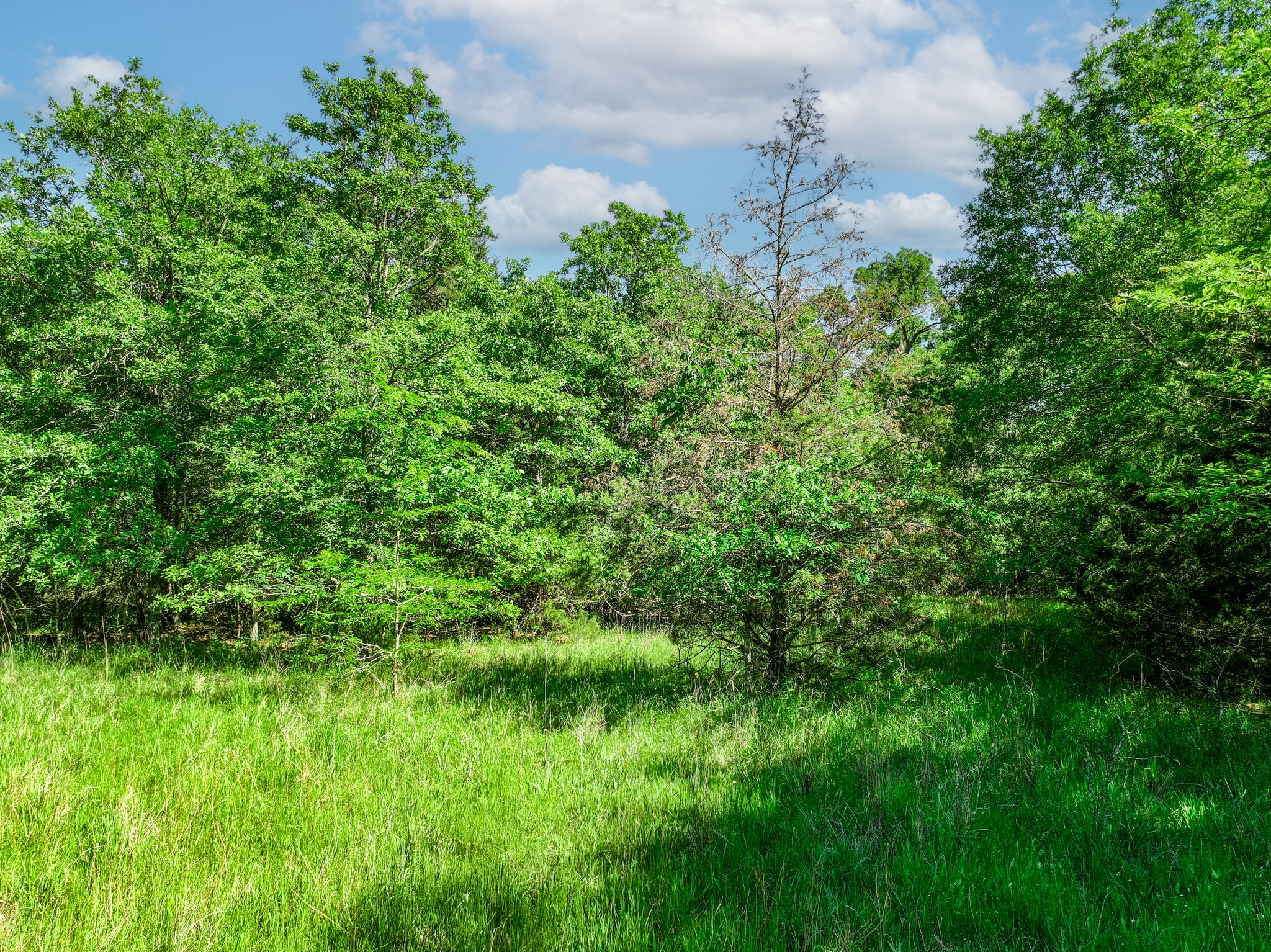 Tbd County Road 4700 Sulphur Springs TX 75482
