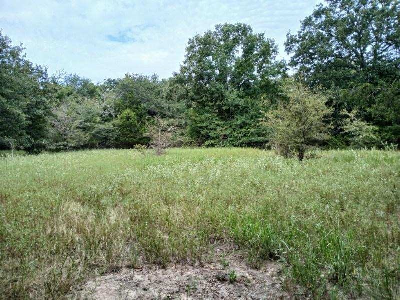 Tbd County Road 4700 Sulphur Springs TX 75482