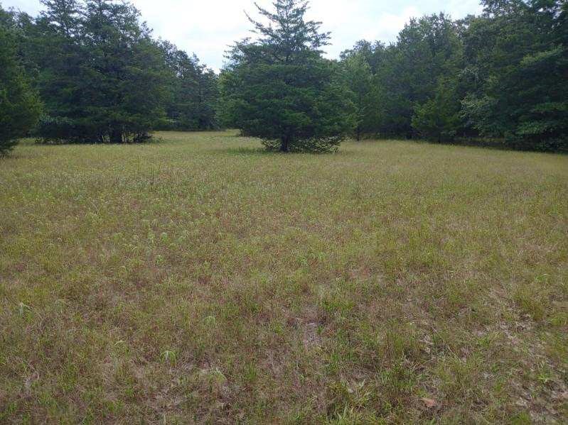 Tbd County Road 4700 Sulphur Springs TX 75482