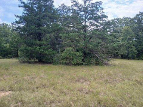 Tbd County Road 4700 Sulphur Springs TX 75482