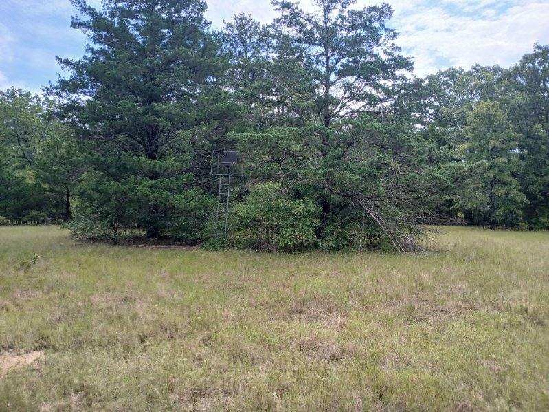 Tbd County Road 4700 Sulphur Springs TX 75482