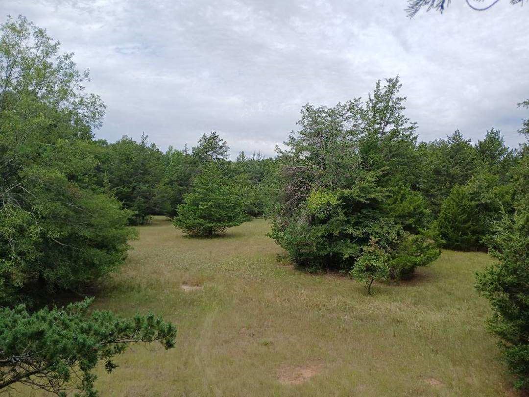 Tbd County Road 4700 Sulphur Springs TX 75482