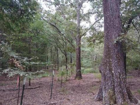 Tbd County Road 4700 Sulphur Springs TX 75482