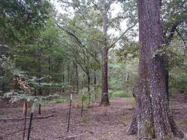 Tbd County Road 4700 Sulphur Springs TX 75482