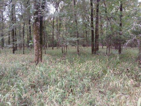 Tbd County Road 4700 Sulphur Springs TX 75482