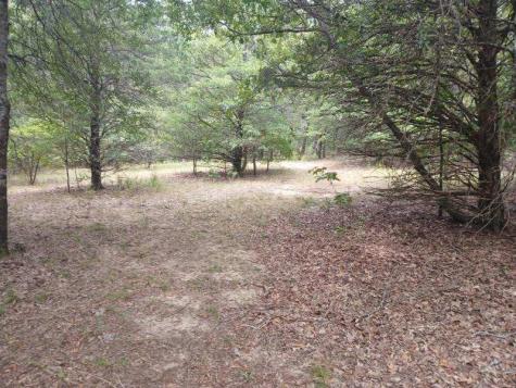 Tbd County Road 4700 Sulphur Springs TX 75482