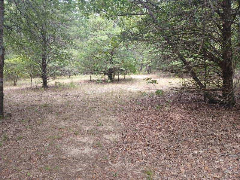 Tbd County Road 4700 Sulphur Springs TX 75482