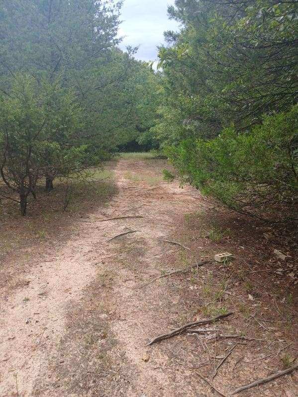 Tbd County Road 4700 Sulphur Springs TX 75482