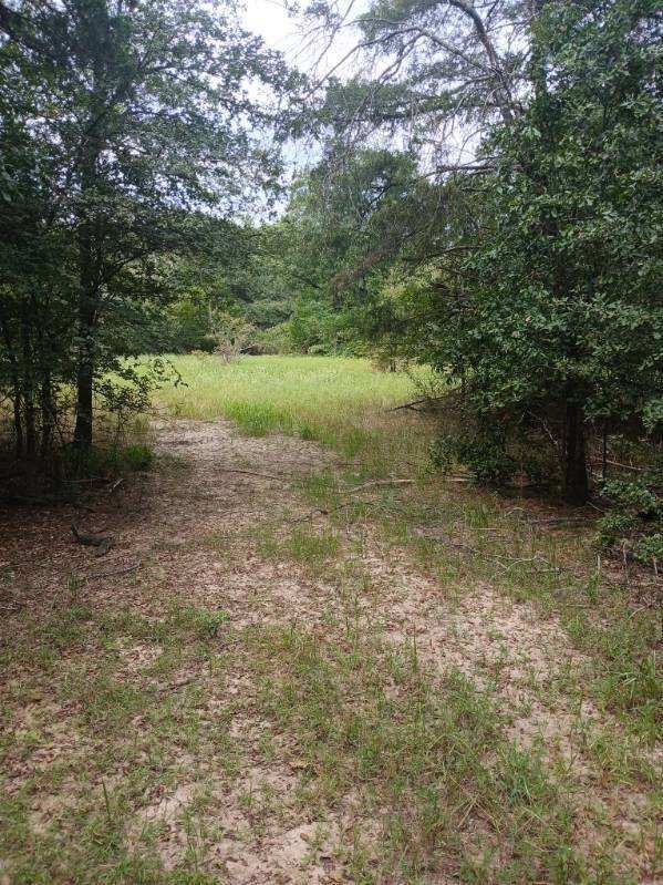 Tbd County Road 4700 Sulphur Springs TX 75482